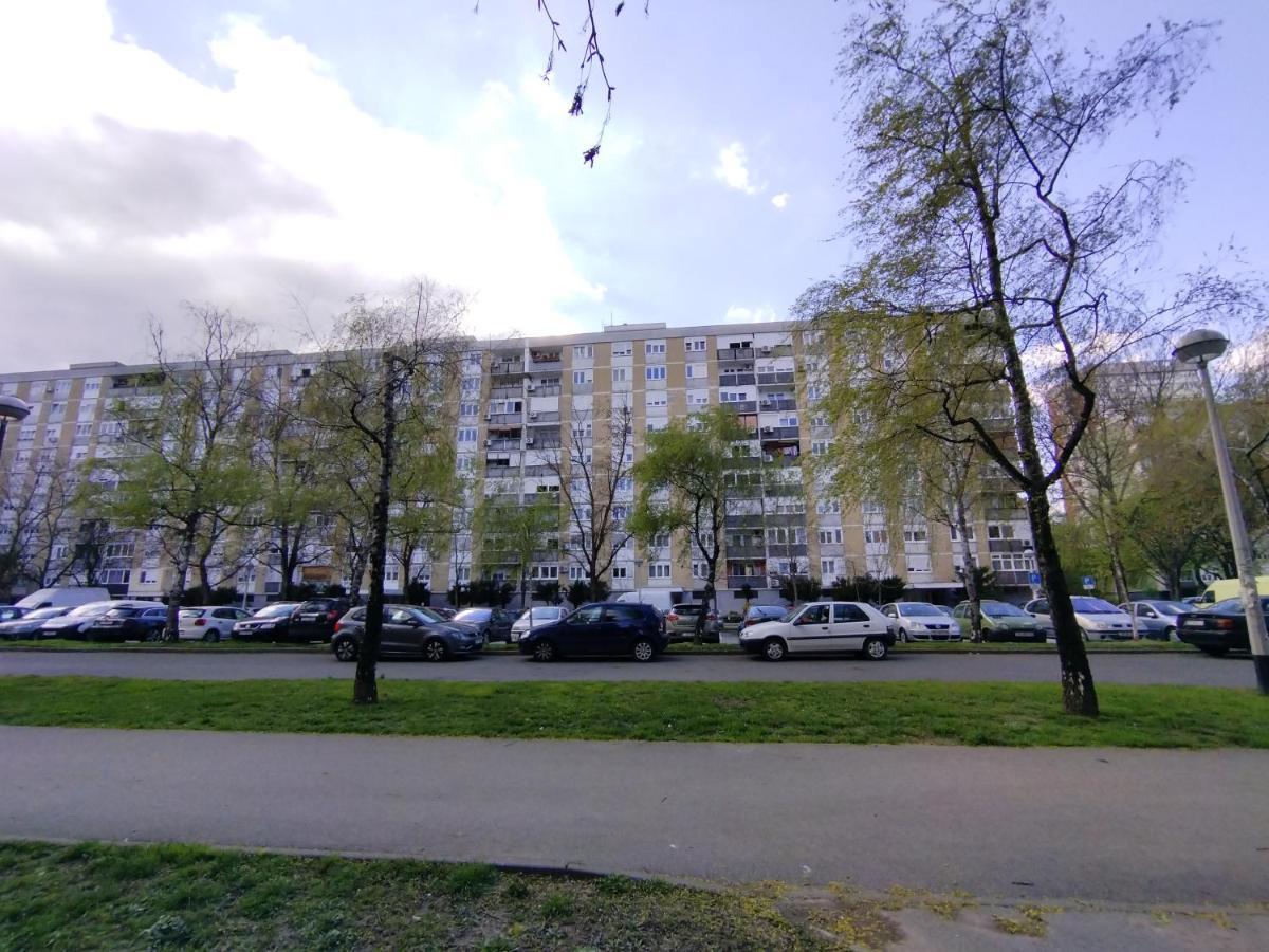Apartma Roko